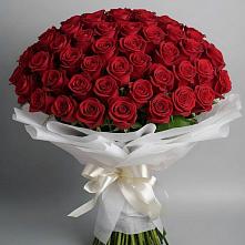Букет 101 Красная роза Блэк Мэджик в Александровке Донской