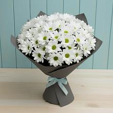 Букет цветов из:  Хризантемы в Александровке Донской