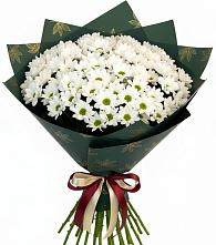 Букет цветов из:  Хризантемы #REPLACE_PRED# Александровке Донской
