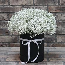 Цветочная композиция из Гипсофила в шляпной коробке #REPLACE_PRED# Александровке Донской