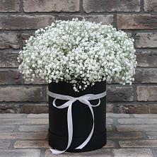 Цветочная композиция из Гипсофила в шляпной коробке в Александровке Донской