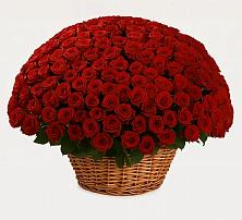 Премиум букет из: Розы в Александровке Донской